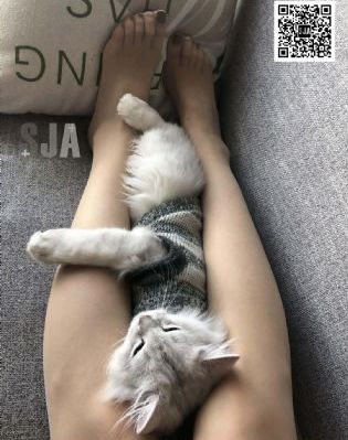白丝流水_免VIP免费在线观看