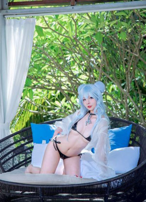 流浪狗电影2023免费观看_高清高清完整版