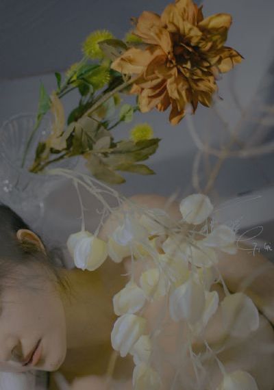 圣痕炼金士动漫免费观看_BD英语高清免费观看