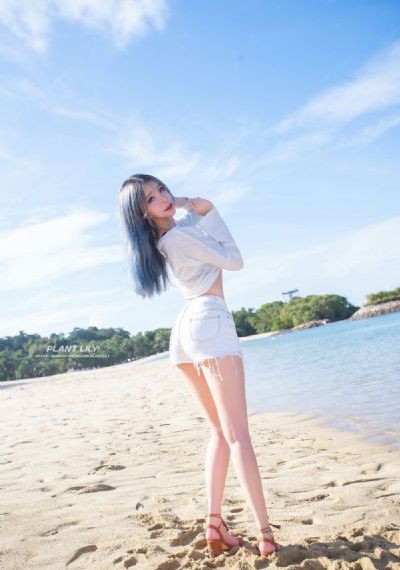 镖王传奇_DVD高清在线观看