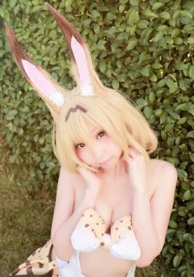 《女士的法则》电视剧_4K高清在线