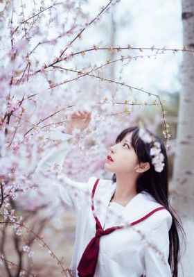 金悔瓶_HD全集免费观看